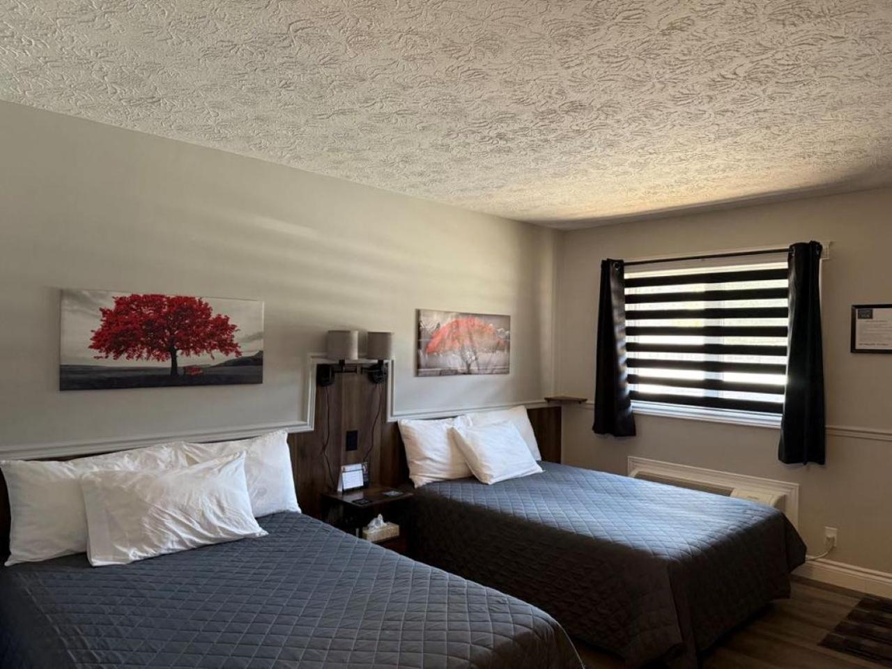 Auberge Micky Inc Edmundston Esterno foto