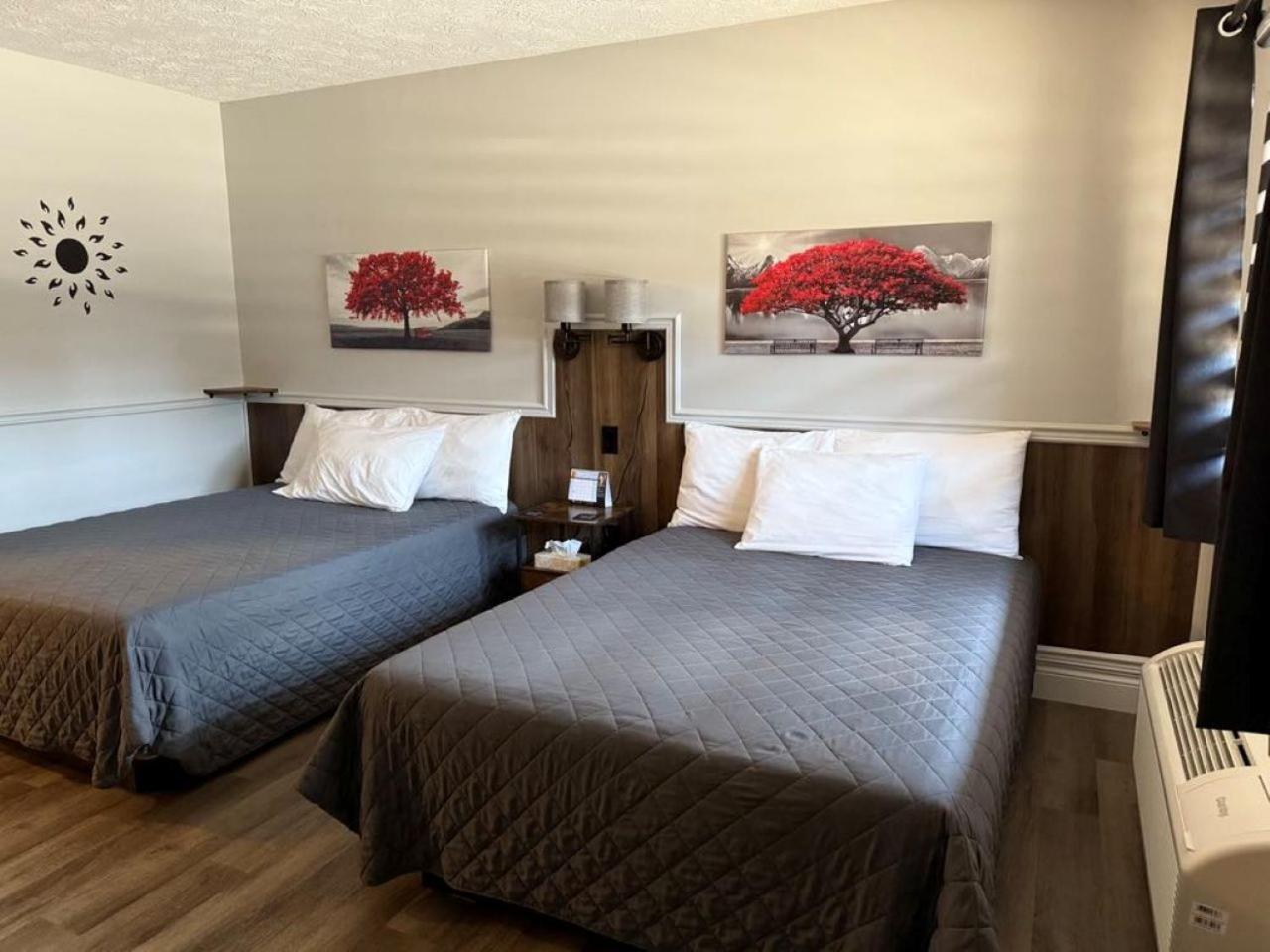 Auberge Micky Inc Edmundston Esterno foto